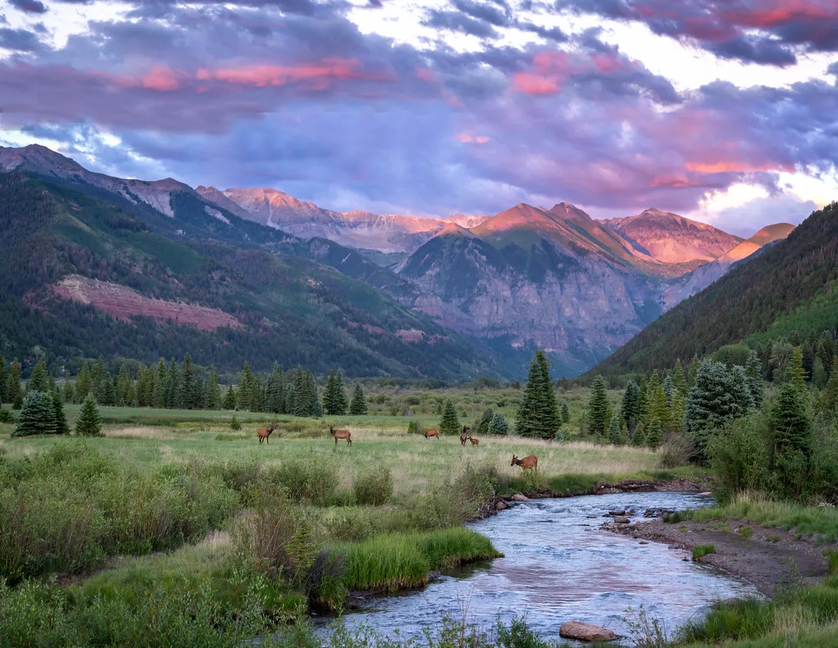 A stunning landscape featuring a river winding through dense green trees, grazing deer in the foreground, and a majestic mountain range in the background. The scene is bathed in warm sunset light, evoking tranquility and the beauty of Telluride's natural surroundings.