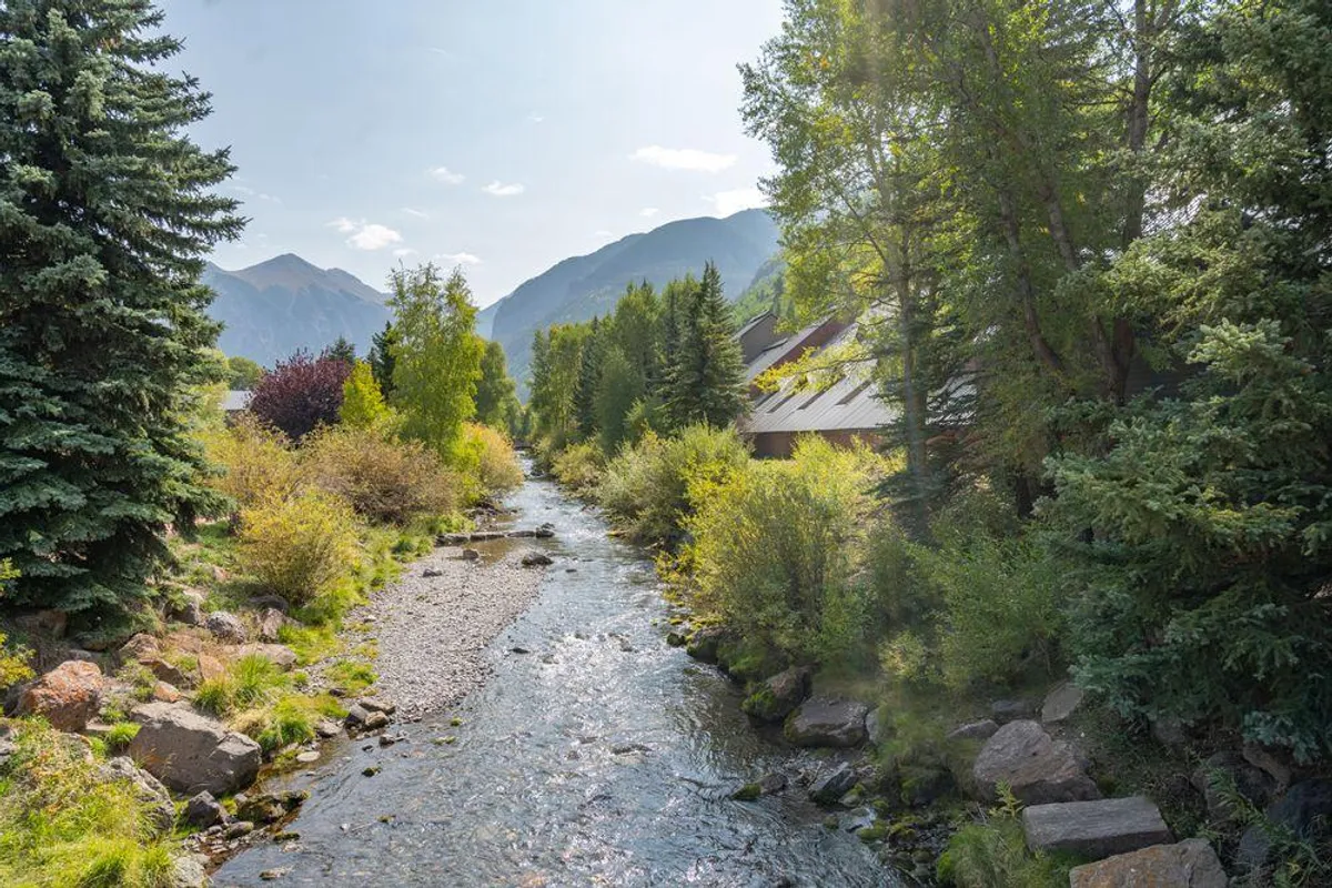 A tranquil stream bordered by trees and mountains, with a building visible in the distance. The setting is peaceful and naturally beautiful, ideal for nature walks, bird watching, or simply relaxing by the water.
